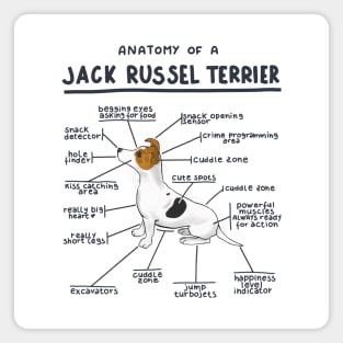 Anatomy of a Jack Russel Terrier Magnet